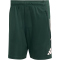 adidas Juventus Turin European Trainingsshorts 2025/26 Herren JN7474 - shadow green XS