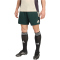 adidas Juventus Turin European Trainingsshorts 2025/26 Herren JN7474 - shadow green XS