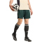 adidas Juventus Turin European Trainingsshorts 2025/26 Herren JN7474 - shadow green XS