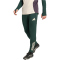 adidas Juventus Turin European Trainingshose 2025/26 Herren JN7470 - shadow green XS