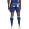 adidas Ajax Amsterdam Auswärtsshorts 2025/26 Herren JP1444 - night sky M