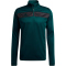 adidas Tiro 25 Essentials 1/4-Zip Sweatshirt Herren KC7233 - aurora ivy/black S