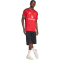 adidas Manchester United Heimtrikot 2025/26 Herren JI7428 - mufc red XS