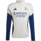 adidas FC Arsenal Trainings-Sweatshirt 2025/26 Herren JJ1816 - grey two S