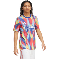 adidas FC Arsenal Aufwärmshirt 2025/26 Herren JJ1797...