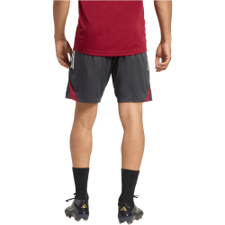 adidas FC Arsenal European Trainingsshorts 2025/26 Herren...