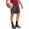 adidas FC Arsenal European Trainingsshorts 2025/26 Herren JJ1772 - dark grey/team coll burgundy 2 S