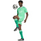 adidas Originals FC Arsenal Ausweich Torwarttrikot 2025/26 Herren JI9560 - semi screaming green/white XS