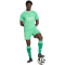 adidas Originals FC Arsenal Ausweich Torwarttrikot 2025/26 Herren JI9560 - semi screaming green/white XS