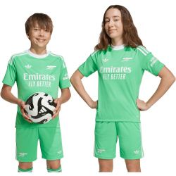 adidas Originals FC Arsenal Ausweich Torwarttrikot...