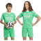 adidas Originals FC Arsenal Ausweich Torwarttrikot 2025/26 Kinder JI9559 - semi screaming green/white 128
