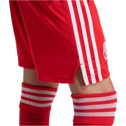 adidas Originals FC Bayern München Ausweich...