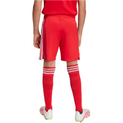 adidas Originals FC Bayern München Ausweich...