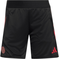 adidas FC Bayern München European Trainingsshorts...