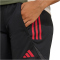 adidas FC Bayern München European Trainingsshorts 2025/26 Damen JN8644 - black XS