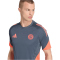 adidas FC Bayern München Trainingstrikot 2025/26 Herren JP1785 - bold onix XS