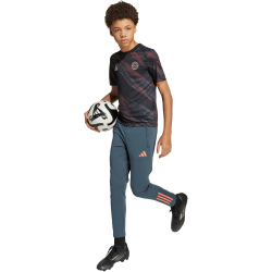 adidas FC Bayern München Aufwärmshirt 2025/26...