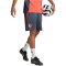 adidas FC Bayern München Trainingsshorts 2025/26 Herren JN8776 - bold onix XS