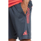 adidas FC Bayern München Trainingsshorts 2025/26 Herren JN8776 - bold onix XS