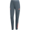 adidas FC Bayern München Trainingshose 2025/26 Damen KA3860 - bold onix XXS