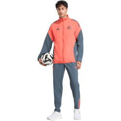 adidas FC Bayern München Präsentationshose 2025/26 Herren JZ3487 - bold onix S