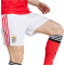 adidas SL Benfica Lissabon Heimshorts 2025/26 Herren JD1405 - white XS