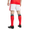 adidas SL Benfica Lissabon Heimshorts 2025/26 Herren JD1405 - white XS