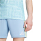 adidas Juventus Turin Auswärtsshorts 2025/26 Herren JJ4325 - ash blue XS