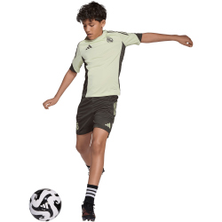 adidas Real Madrid Competition Trainingstrikot 2025/26...