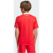 adidas Originals FC Bayern München Ausweich Torwarttrikot 2025/26 Kinder JP3694 - pure ruby 164