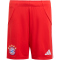 adidas FC Bayern München Heimshorts 2025/26 Kinder JN8511 - red 128