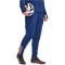 adidas Tiro 25 Competition Winterized Trainingshose Herren JN5850 - dark blue/beam orange M