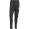adidas Tiro 25 Competition Winterized Trainingshose Herren JN5844 - black/team dark grey M