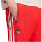 adidas Originals SL Benfica Lissabon Icon Trainingshose 2025/26 Herren JL5551 - benfica red XS