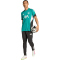 adidas FC Liverpool European Trainingstrikot 2025/26 Herren JV9008 - Sea Green XS
