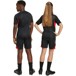 adidas SL Benfica Lissabon Trainingsshorts 2025/26 Kinder...