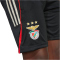 adidas SL Benfica Lissabon Trainingsshorts 2025/26 Kinder JM1120 - black 128