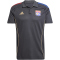 adidas Olympique Lyon Competition Poloshirt 2025/26 Herren JL9469 - carbon/hazy beige XS