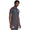 adidas Olympique Lyon Competition Poloshirt 2025/26 Herren JL9469 - carbon/hazy beige XS