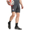 adidas Olympique Lyon Trainingsshorts 2025/26 Herren JL9410 - carbon/hazy beige XS