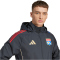 adidas Olympique Lyon Allwetterjacke 2025/26 Herren JL9384 - carbon/hazy beige XS
