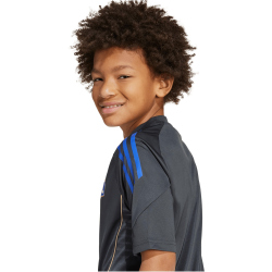 adidas Olympique Lyon Competition Trainingstrikot 2025/26...