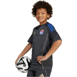 adidas Olympique Lyon Competition Trainingstrikot 2025/26...