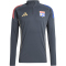 adidas Olympique Lyon Trainings-Sweatshirt 2025/26 Herren JL7747 - carbon/hazy beige XS
