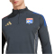 adidas Olympique Lyon Trainings-Sweatshirt 2025/26 Herren JL7747 - carbon/hazy beige XS