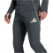 adidas Olympique Lyon Trainingshose 2025/26 Herren JL7707 - carbon/hazy beige XS