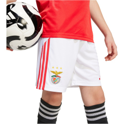 adidas SL Benfica Lissabon Heimshorts 2025/26 Jungen...