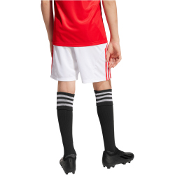 adidas SL Benfica Lissabon Heimshorts 2025/26 Jungen...