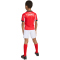 adidas SL Benfica Lissabon Heim-Minikit 2025/26 Kinder JN9940 - benfica red/white 92