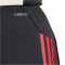 adidas FC Liverpool Trainingsshorts 2025/26 Herren JV6575 - black XS